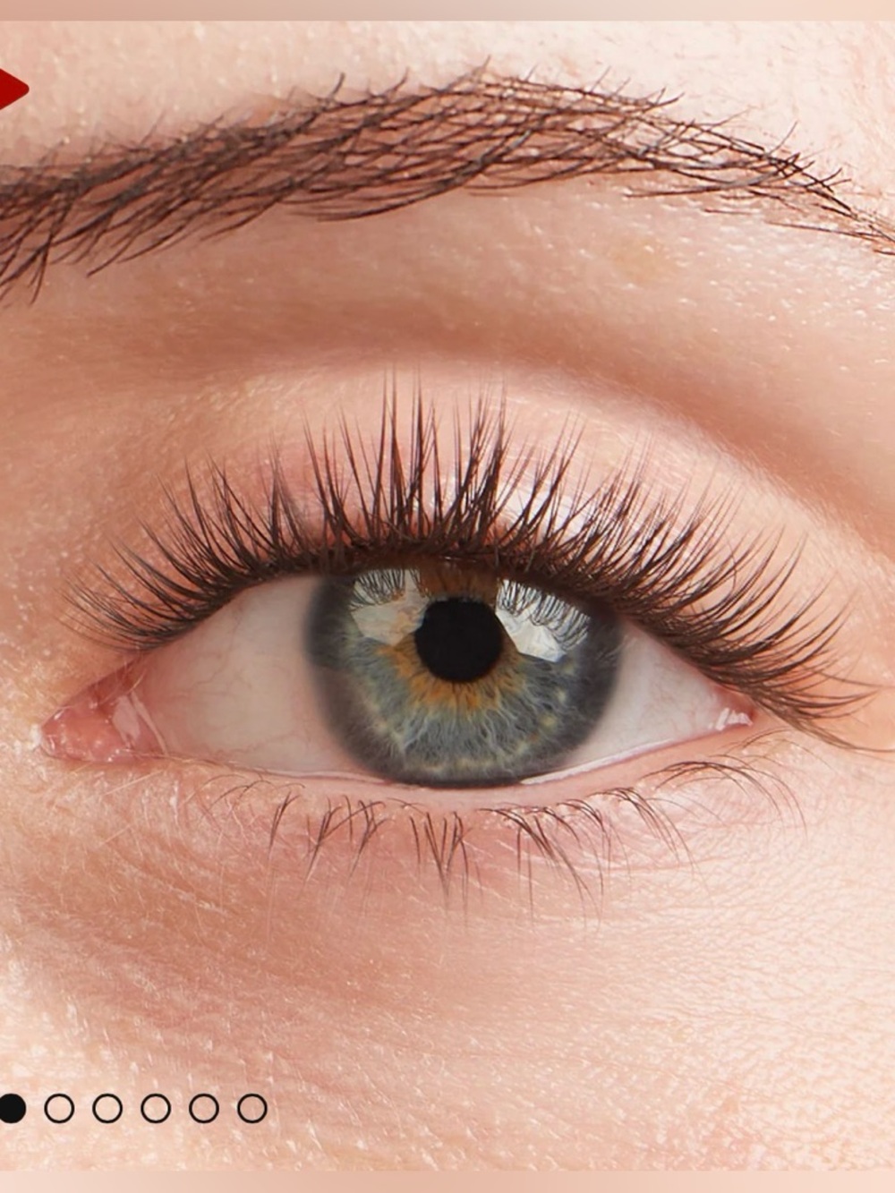 NWT Lilac St. Originals False Eyelashes - Black